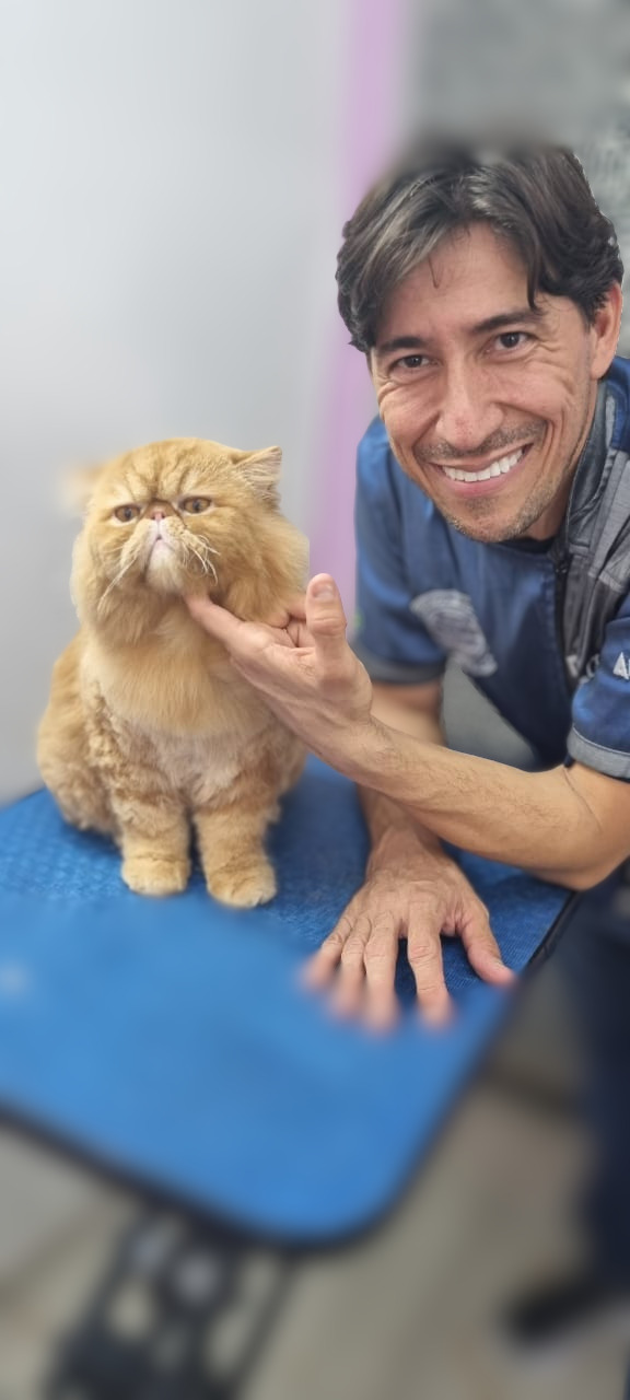 André Castro em atendimento especializado para gatos