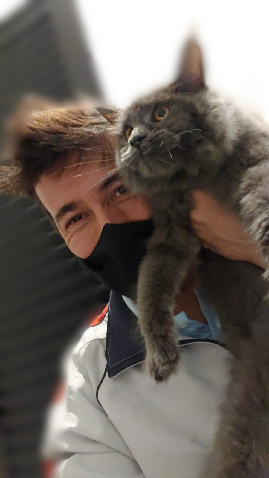 André Castro com gato cinza
