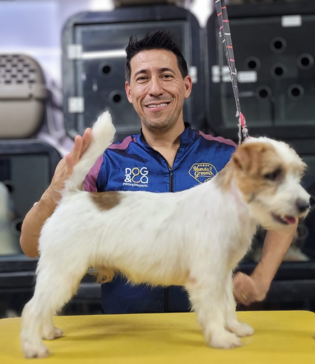 André Castro com cachorro após tosa