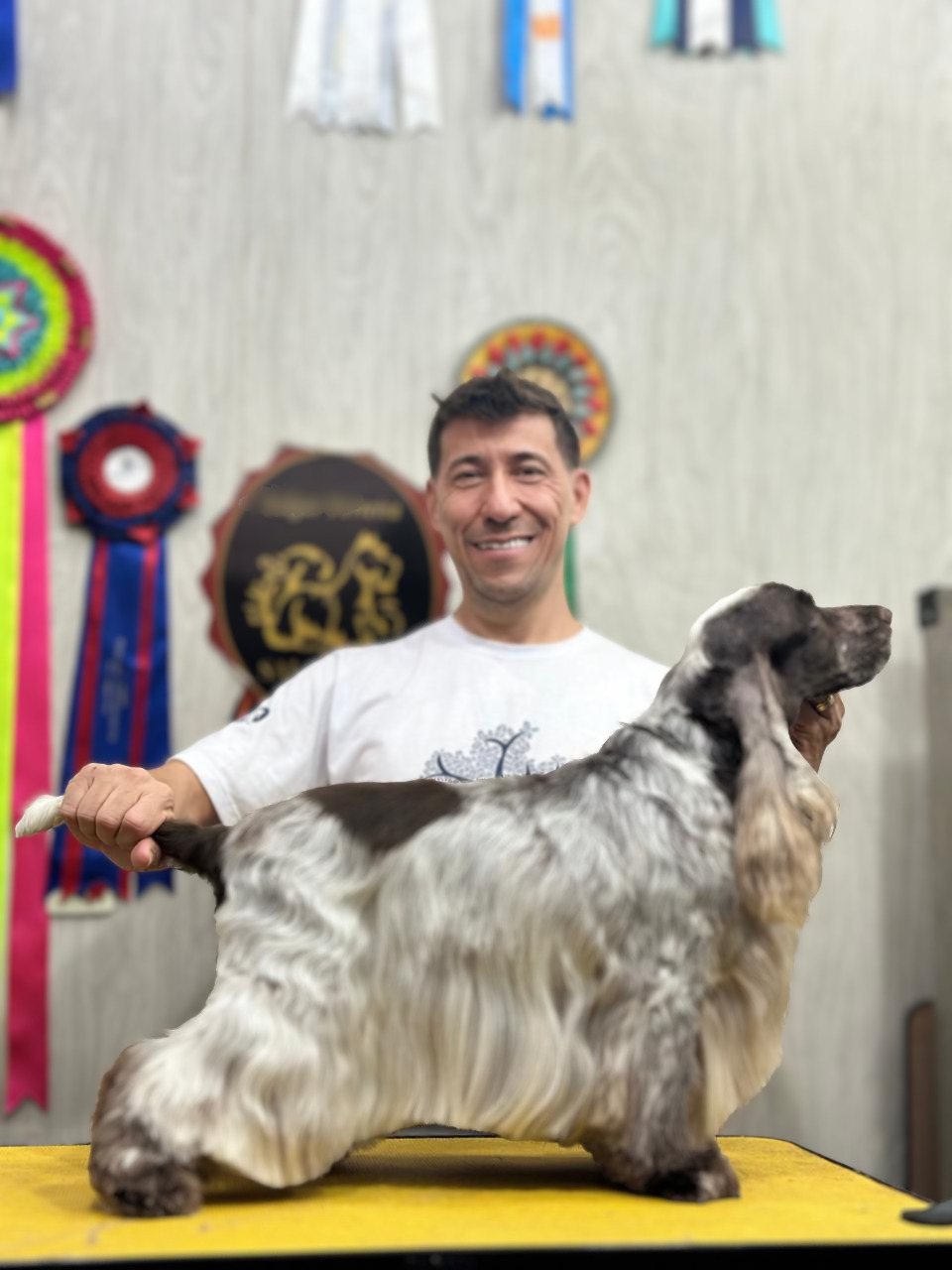 André Castro com pet em atendimento profissional