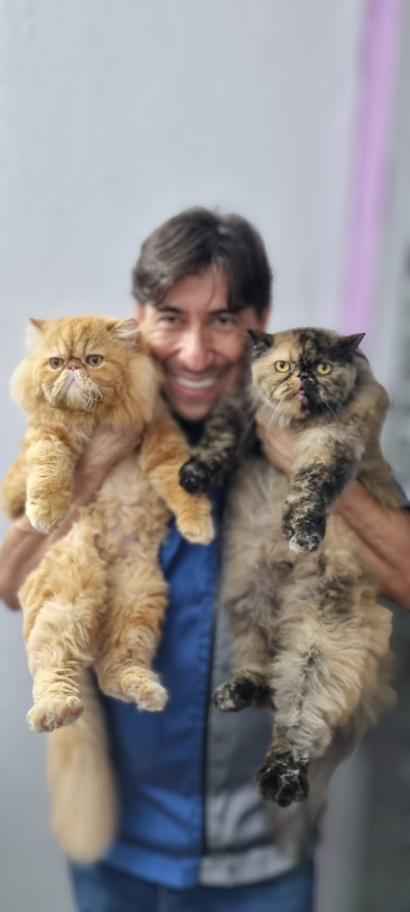 André Castro com dois gatos atendidos